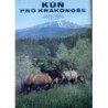 Heřman Zdeněk, Holeček Jaroslav - Kůň pro Krakonoše