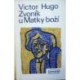 Hugo Victor - Zvoník u Matky boží