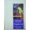 Čapkové Karel a Josef - Krakonošova zahrada