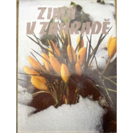 - Zima v zahradě