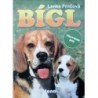 Frnčová Lenka - Bígl
