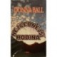Ball Donna - Nejčernější hodina