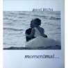 Šticha Pavel - Momentmal...