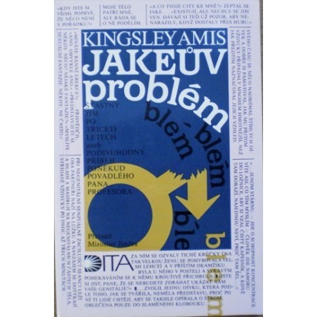 Amis Kingsley - Jakeův problém