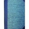 Caha Arnošt - Přehled dějin literatury české