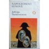 Dackiewitzová Jadwiga - Napoleonovi synové