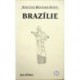 Klíma Jan - Stručná historie států - Brazílie