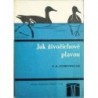 Dobrowolski K. A. - Jak živočichové plavou