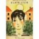 Čtvrtek Václav - Zlatá lilie