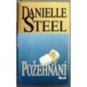 Steel Danielle - Požehnání