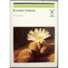 Gloser Jan - Kvetoucí kameny