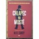 Carey M. R. - Chlapec na mostě