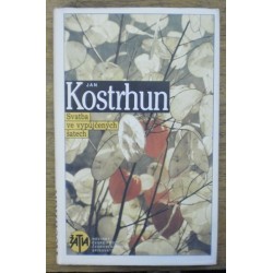 Kostrhun Jan - Svatba ve vypůjčených šatech