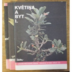 - Květina a byt I-III