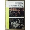 Mašín Emil - Skalky a skalničky