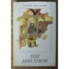 Rosenbaum Zdeněk - Stát jako strom