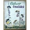 Skyba Zikmund - Ostrov čmeláků