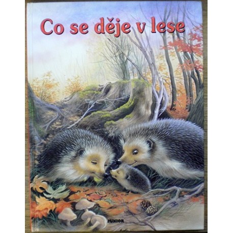 - Co se děje v lese?