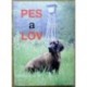 kolektiv autorů - Pes a lov (Zkušební řády platné od 1.6.2006)