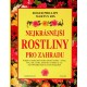 Phillips Roger, Rix Martyn - Nejkrásnější rostliny pro zahradu