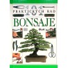 Tomlinson Harry - Bonsaje (101 praktických rad