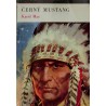 May Karel - Černý mustang