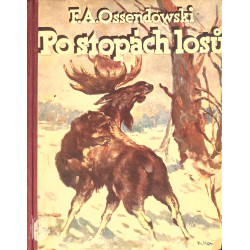 Ossendowski F. A. - Po stopách losů