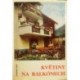 Höhn Reinhardt - Květiny na balkónech
