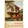 Höhn Reinhardt - Květiny na balkónech