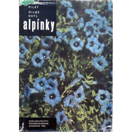 Pilát Albert, Deyl Miloš - Alpínky