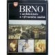 různí autoři - Brno v architektuře a výtvarném umění
