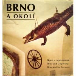 Kusák Dalibor - Brno a okolí