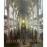 Burian Jiří - Katedrála sv. Víta na Pražském hradě