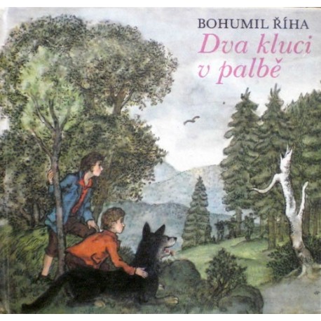 Říha Bohumil - Dva kluci v palbě