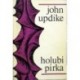 Updike John - Holubí pírka