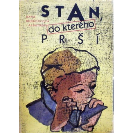Bořkovcová Hana - Stan, do kterého prší