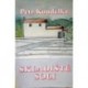 Koudelka Petr - Skladiště soli