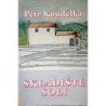 Koudelka Petr - Skladiště soli