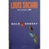 Sachar Louis - Malé krůčky