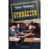 Budinský Václav - Gymnázium