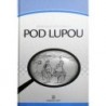 - Erektilní dysfunkce pod lupou