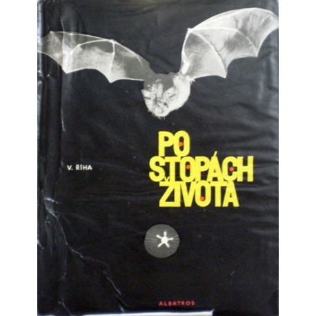 Říha Vítězslav - Po stopách života