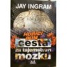 Ingram Jay - Cesta za tajemstvím mozku