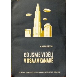 Mackevič V. - Co jsme viděli v USA a v Kanadě