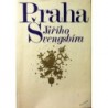 - Praha Jiřího Švengsbíra
