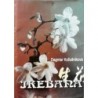 Kožušníková Dagmar - Ikebana