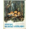 Pečerskij Nikolaj - Výprava velkého náčelníka