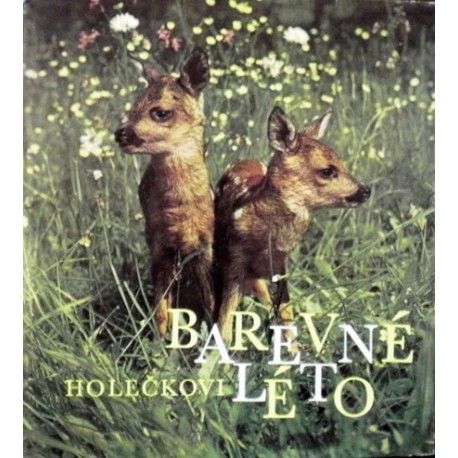 Holeček Jaroslav, Holeček Jaroslav jr. - Barevné léto