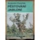 Dvořák Antonín - Pěstování jabloní