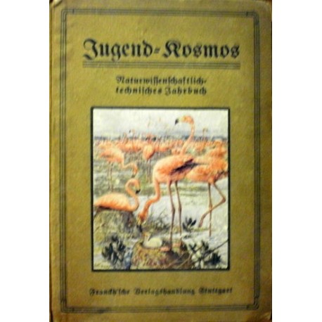 - Jugendkosmos